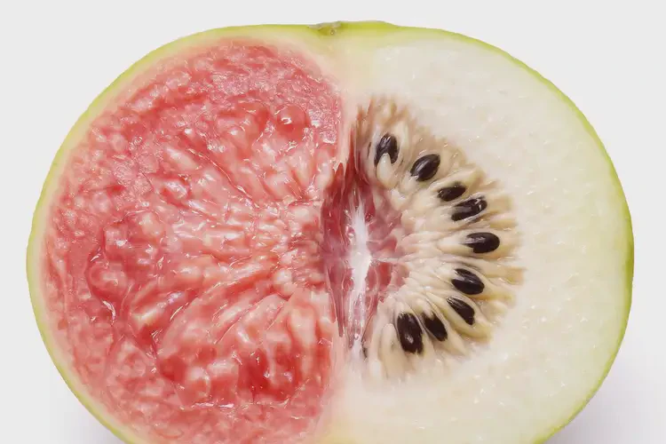 孕6周可以吃芭樂嗎(圖3)