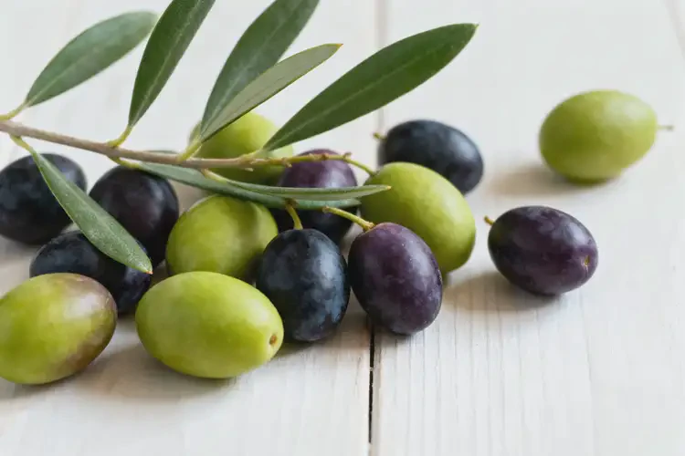 懷孕五個月可以吃橄欖嗎(圖2)