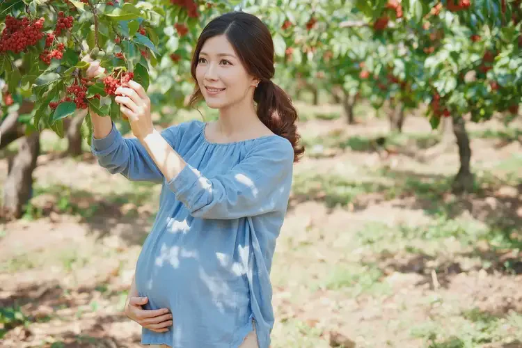 孕27周可以吃花楸嗎