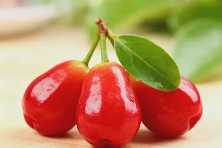 發(fā)育期女生可以吃針葉櫻桃嗎(圖4)
