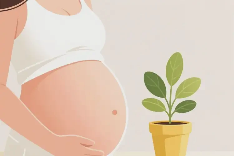 產(chǎn)婦肚子容易起濕疹可以徹底自愈嗎(圖2)