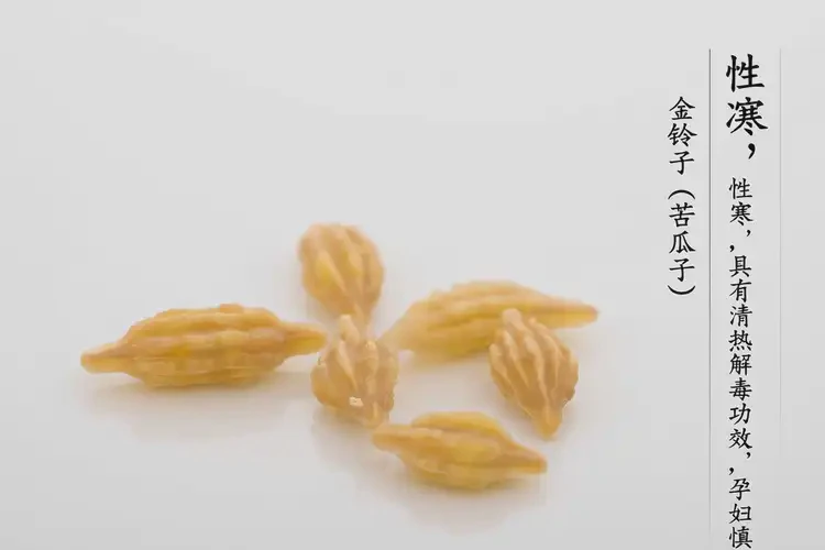 懷孕第9周可以吃金鈴子嗎(圖3)