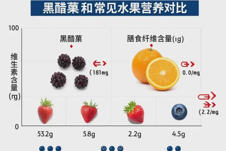 懷孕40多天吃黑醋栗可以嗎(圖3)