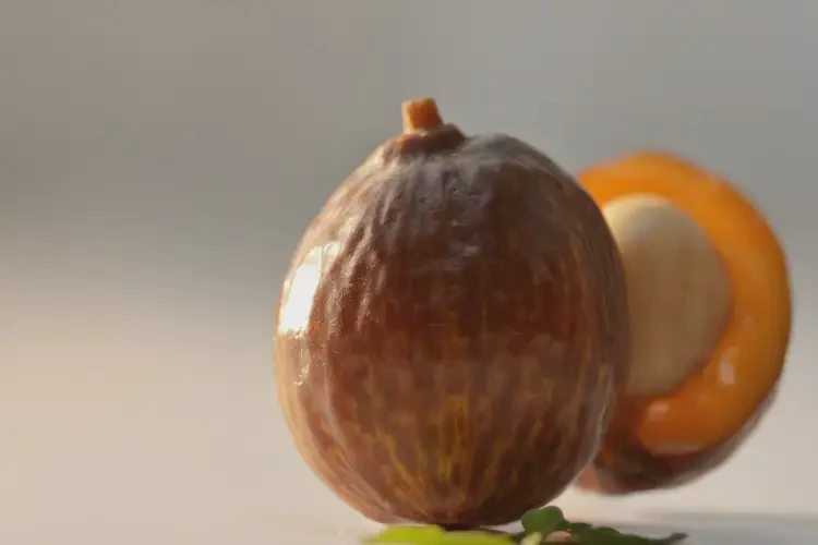 孕38周2天吃文冠果可以嗎(圖3)