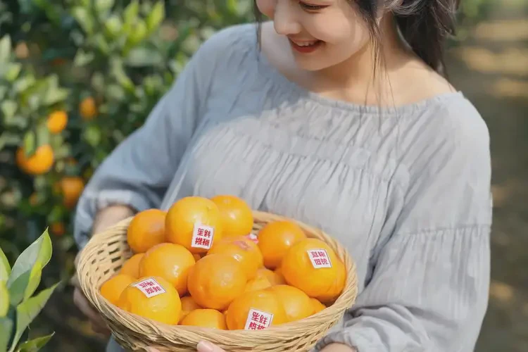 孕4周3天吃柑可以嗎(圖4)