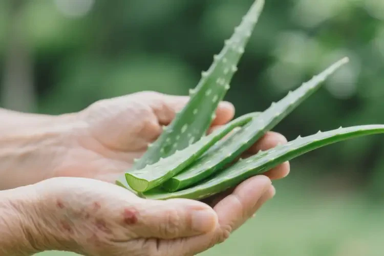 老年人手上容易起濕疹可以徹底自愈嗎(圖2)