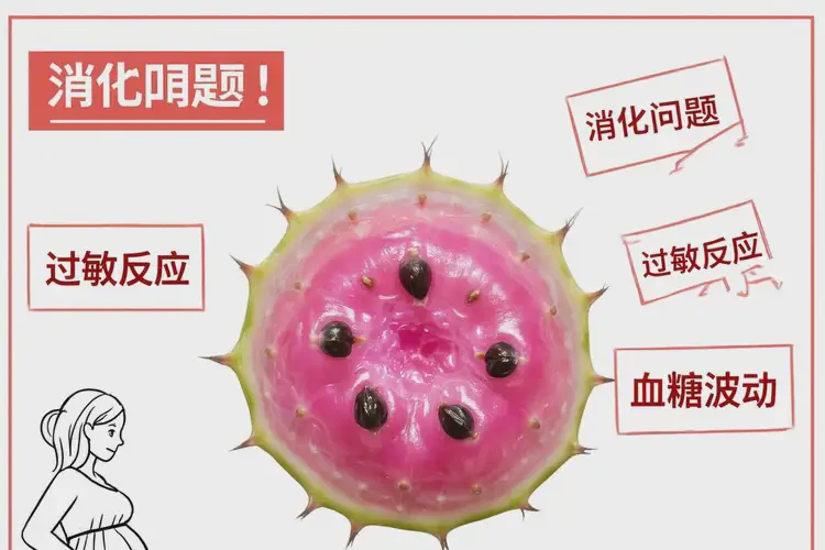 孕5周6天吃仙人掌果可以嗎(圖3)