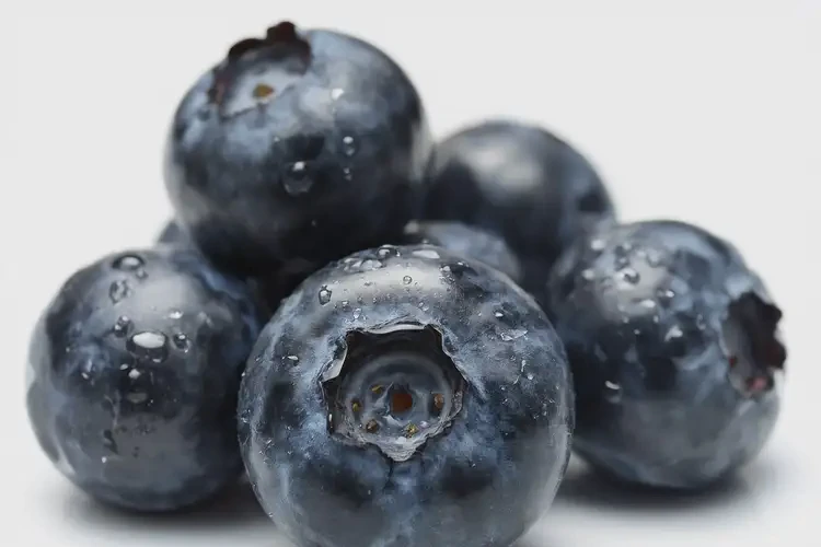 發(fā)育期女生吃藍(lán)莓可以嗎(圖1)