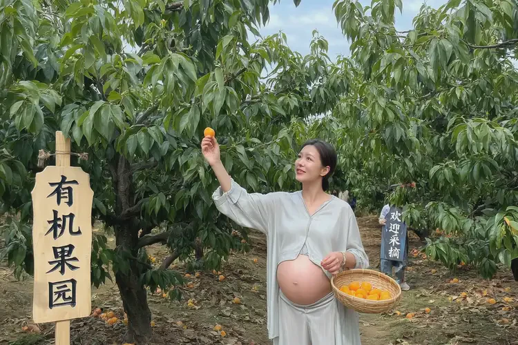 懷孕第38周吃杏子可以嗎(圖4)