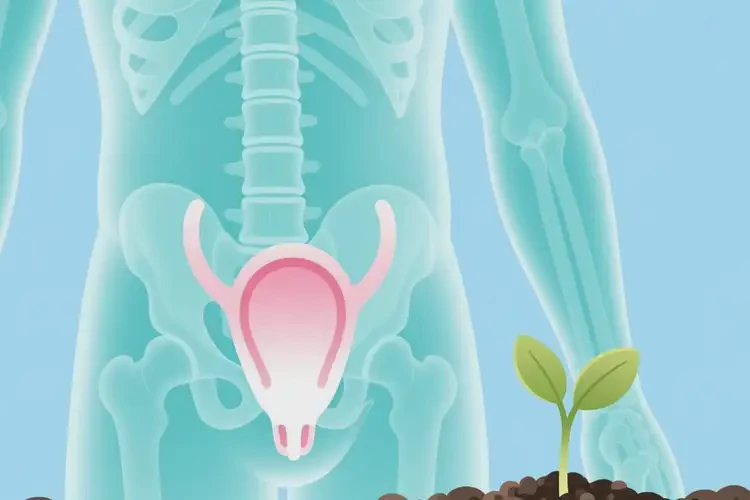 青年人肛周容易長濕疹可以徹底自愈嗎(圖2)