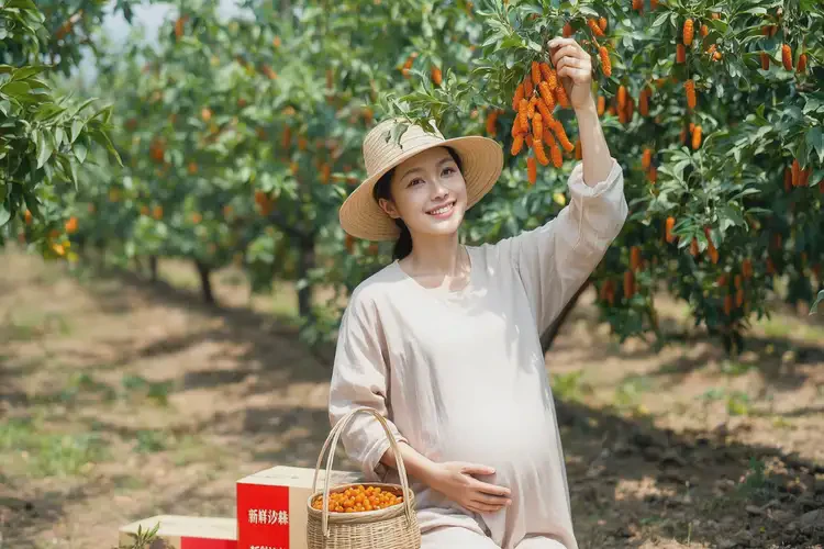 孕11周1天吃沙棘可以嗎(圖4)