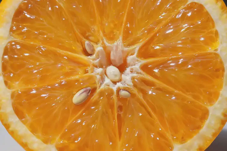 孕4周3天吃柑可以嗎(圖3)