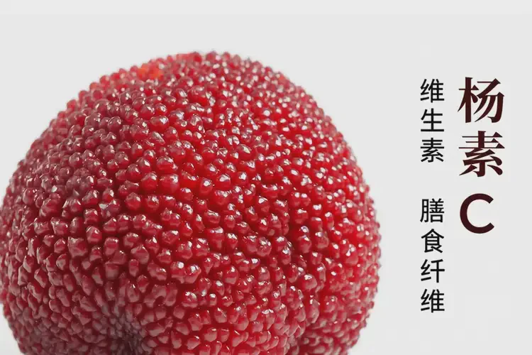 孕29周2天吃楊梅可以嗎(圖3)