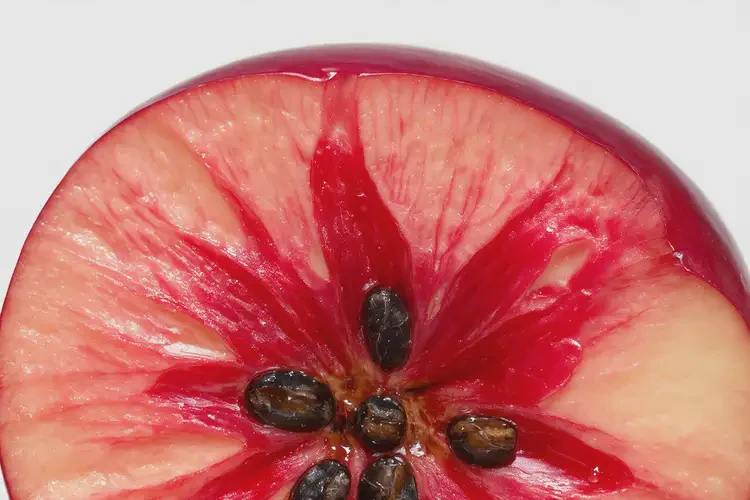 懷孕四個(gè)多月吃香水蘋果可以嗎(圖3)