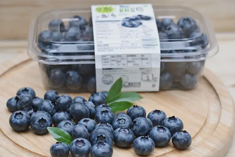 懷孕四個(gè)多月吃藍(lán)莓可以嗎(圖4)