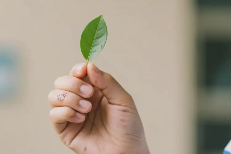 中學(xué)生手上出現(xiàn)濕疹可以徹底自愈嗎(圖4)