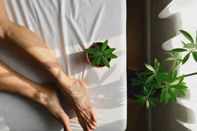 老人大腿上容易起濕疹能徹底自愈嗎(圖3)