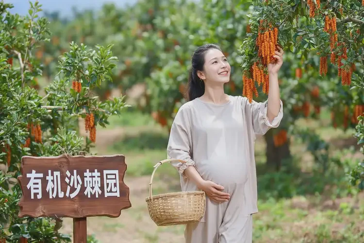 懷孕第10周可以吃沙棘嗎(圖4)