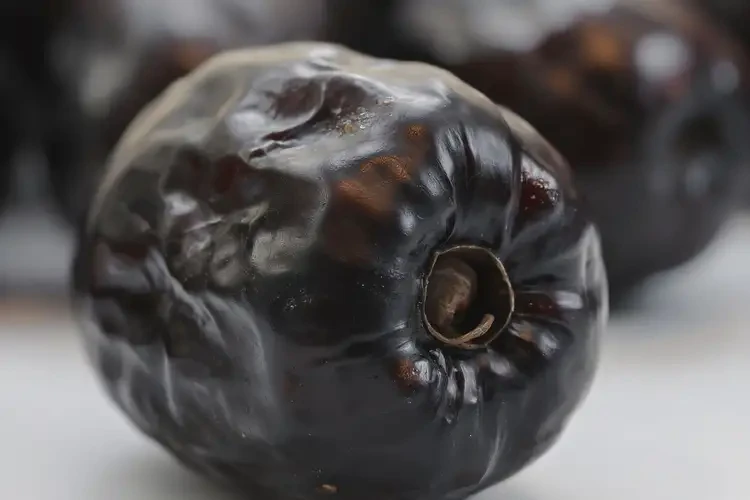 孕7周3天吃黑棗可以嗎