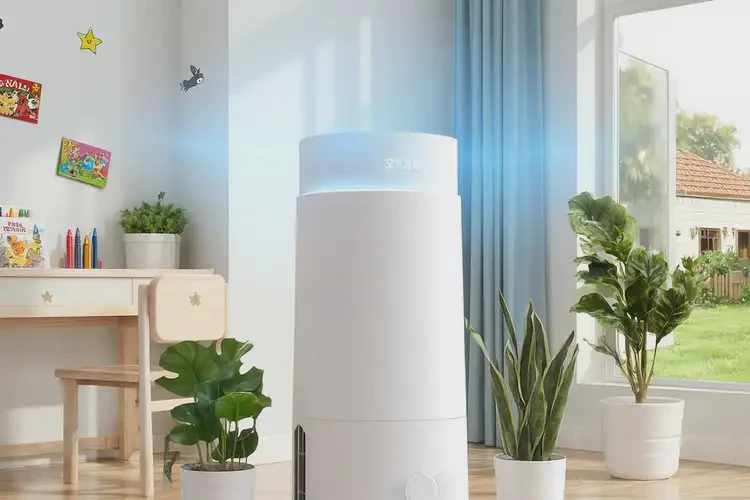 兒童肚子經(jīng)常長濕疹可不可以徹底自愈(圖1)