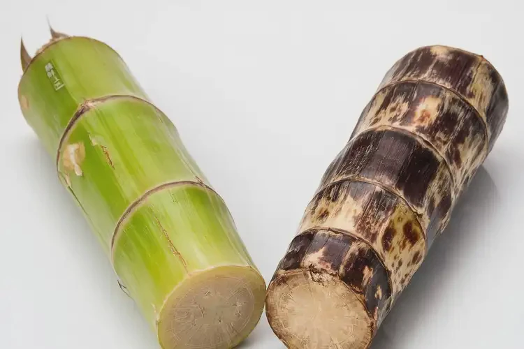 懷孕初期吃甘蔗可以嗎(圖1)