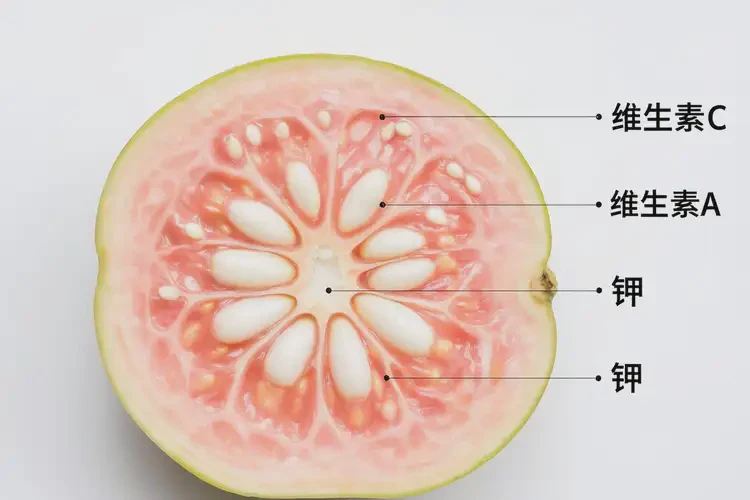 懷孕四個(gè)半月吃番石榴可以嗎(圖3)