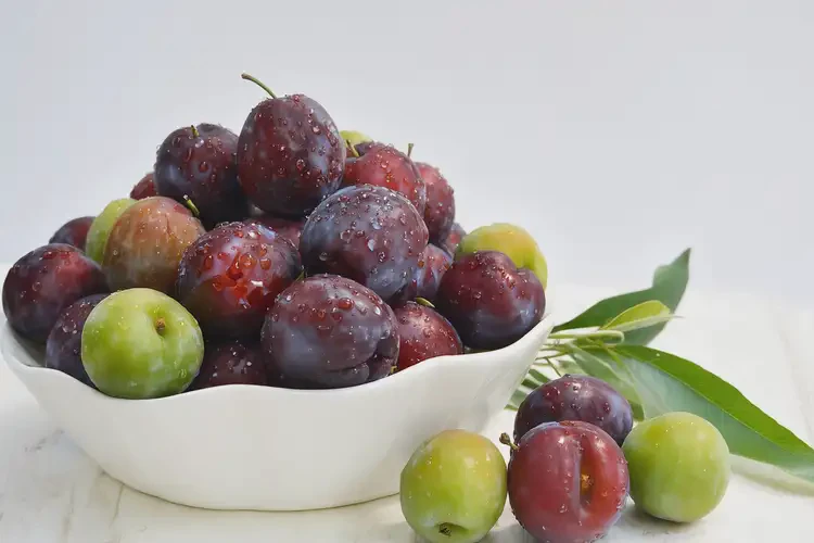 恢復(fù)期可以吃梅子嗎(圖4)