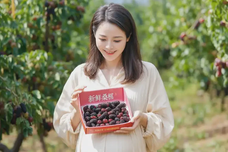 孕8周4天吃桑椹可以嗎(圖4)