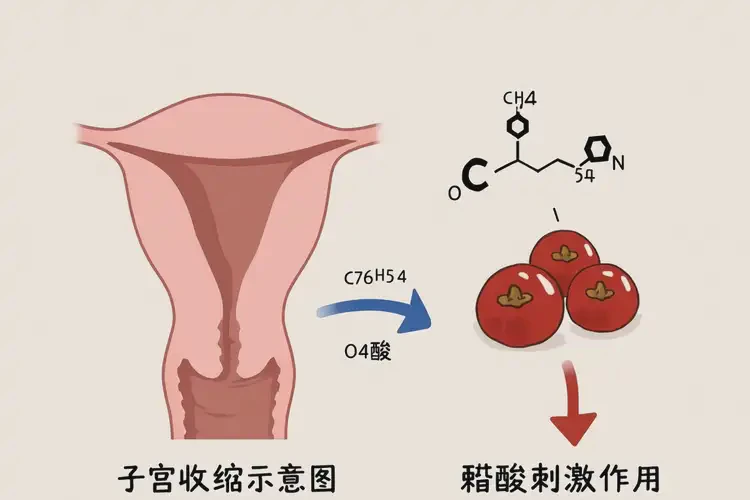 孕37周2天吃山楂可以嗎(圖3)