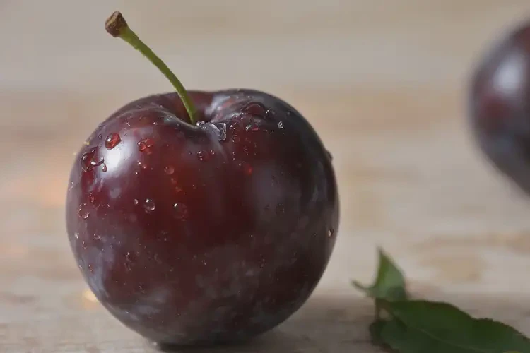 女性備孕期吃李子可以嗎(圖2)