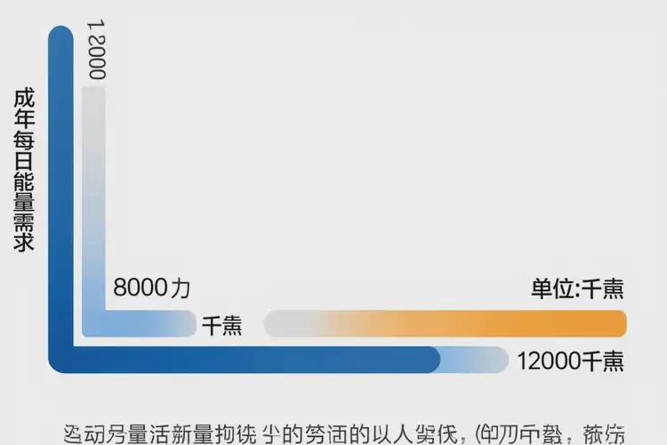70克1679千焦等于几碗饭(图3)