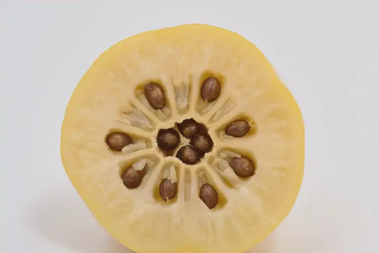 孕26周吃人參果可以嗎(圖3)