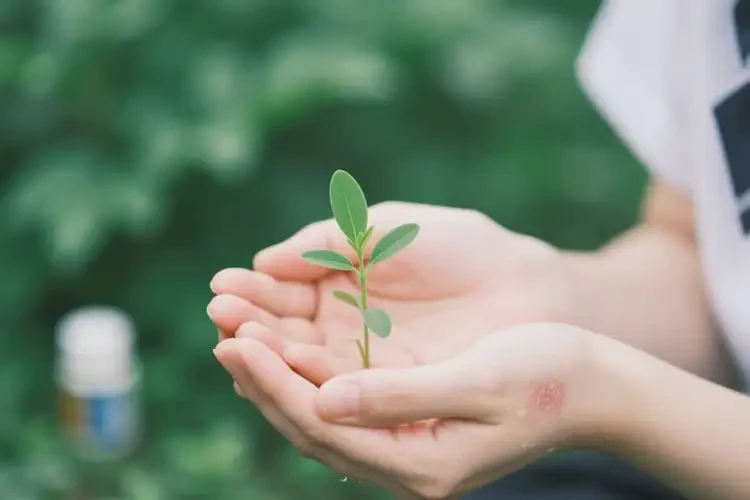 大學(xué)生手上偶爾起濕疹能徹底自愈嗎(圖3)