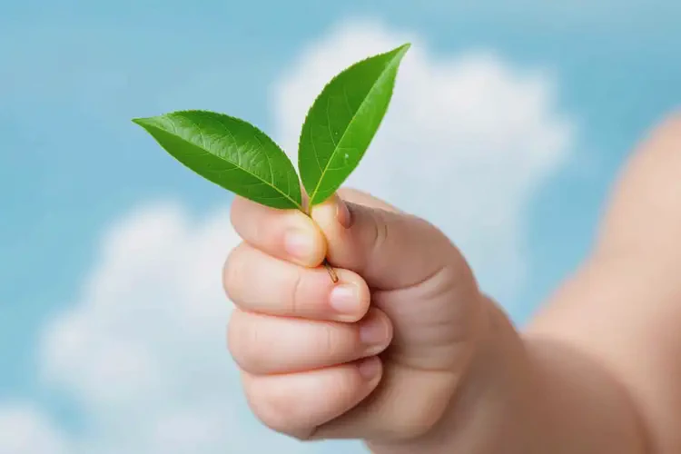 嬰幼兒身上偶爾起濕疹能夠徹底治愈嗎(圖2)