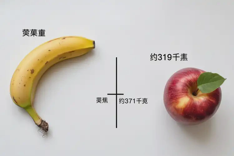 319千焦相当于多少食物(图2)