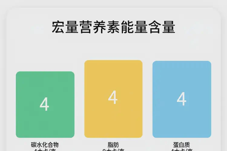 60克1993千焦等于多少热量(图2)