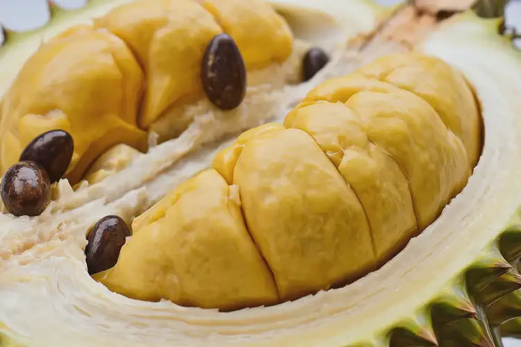 懷孕五個(gè)多月可以吃榴蓮嗎(圖3)