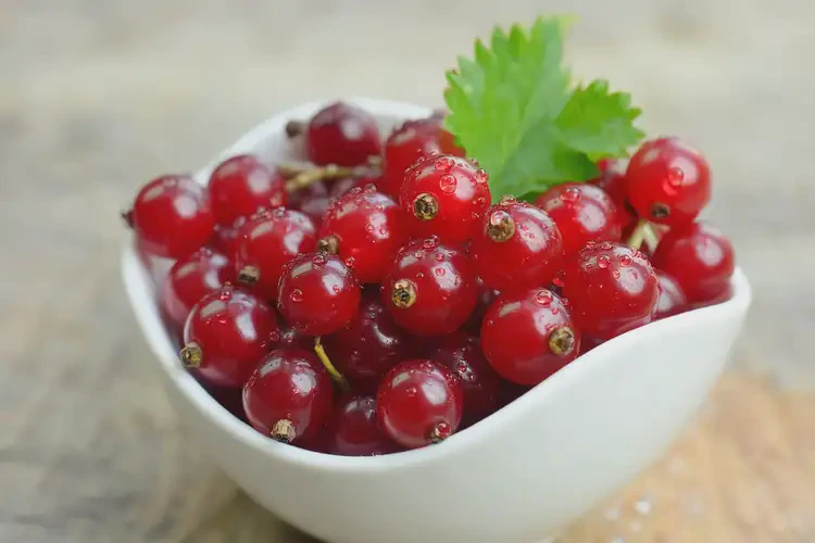 女性生理期可以吃紅醋栗嗎(圖4)