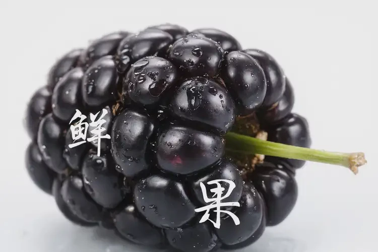 孕24周1天吃黑莓可以嗎(圖4)