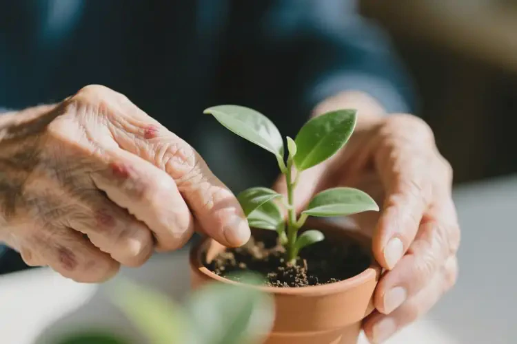 高齡老人四肢起濕疹可以徹底自愈嗎(圖1)