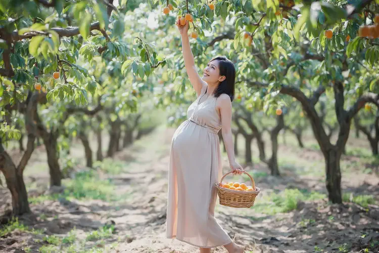 孕13周吃杏子可以嗎(圖4)