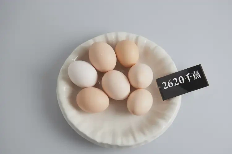 2620千焦相当于多少食物(图2)