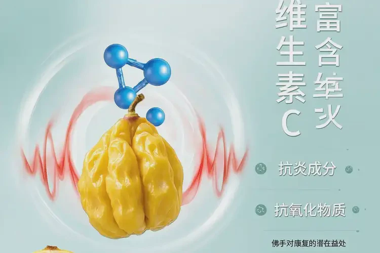 康復中后期吃佛手可以嗎(圖1)