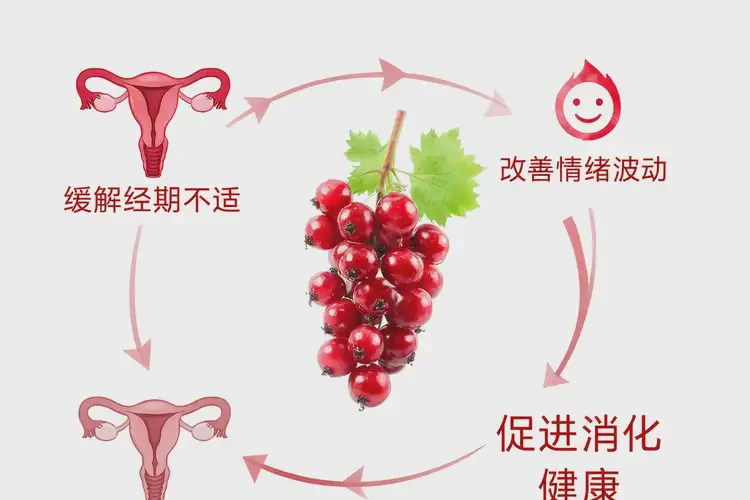 女性生理期可以吃紅醋栗嗎(圖1)