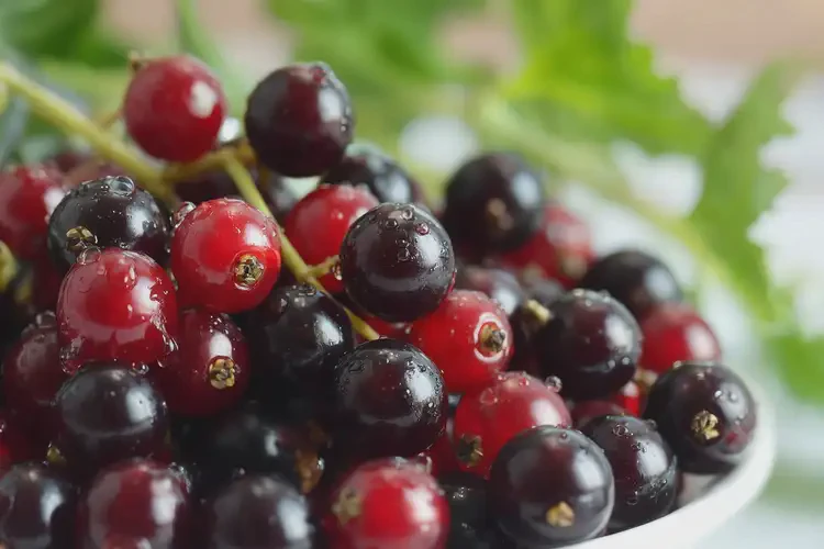 懷孕33周吃醋栗可以嗎(圖3)