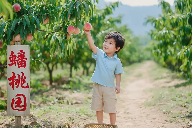成長期吃蟠桃可以嗎(圖2)