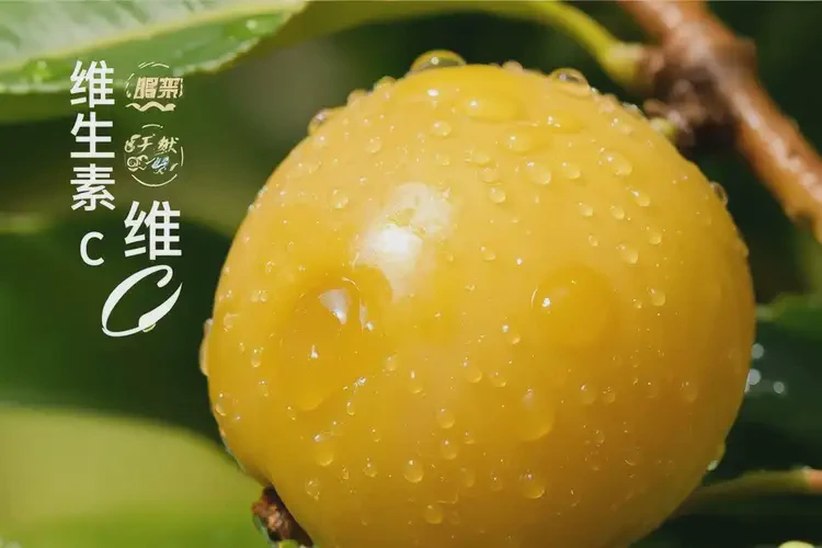 孕14周6天吃黃皮果可以嗎(圖4)