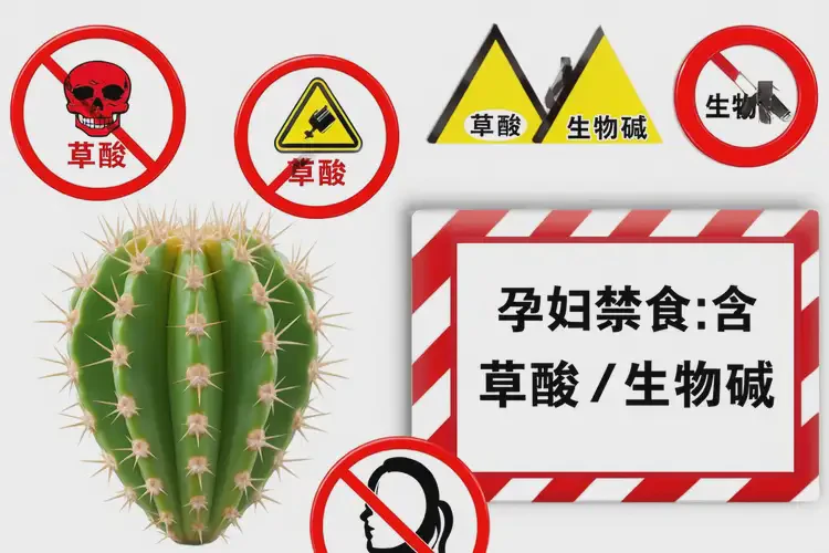 懷孕第32周吃仙人掌果可以嗎(圖3)