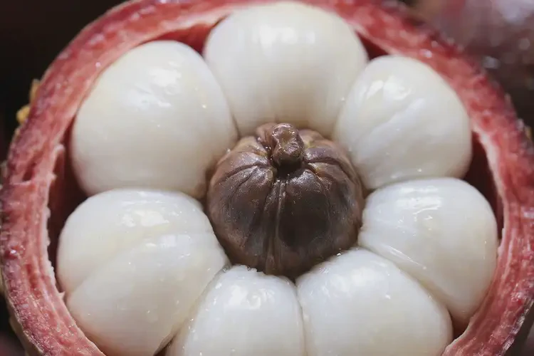 懷孕第12周吃山竹可以嗎(圖3)