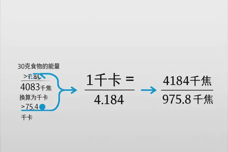 30克4083千焦等于多少热量(图1)